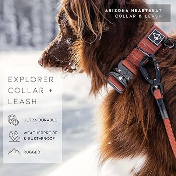 Made to ROAM Premium Dog Collar - Adjustable Heavy Duty